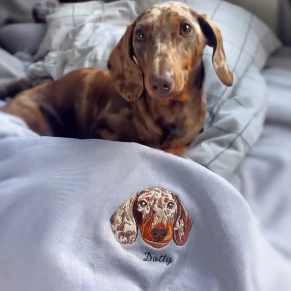 Dachshund resting behind a light blue sweatshirt embroidered with its face and the name Dotty