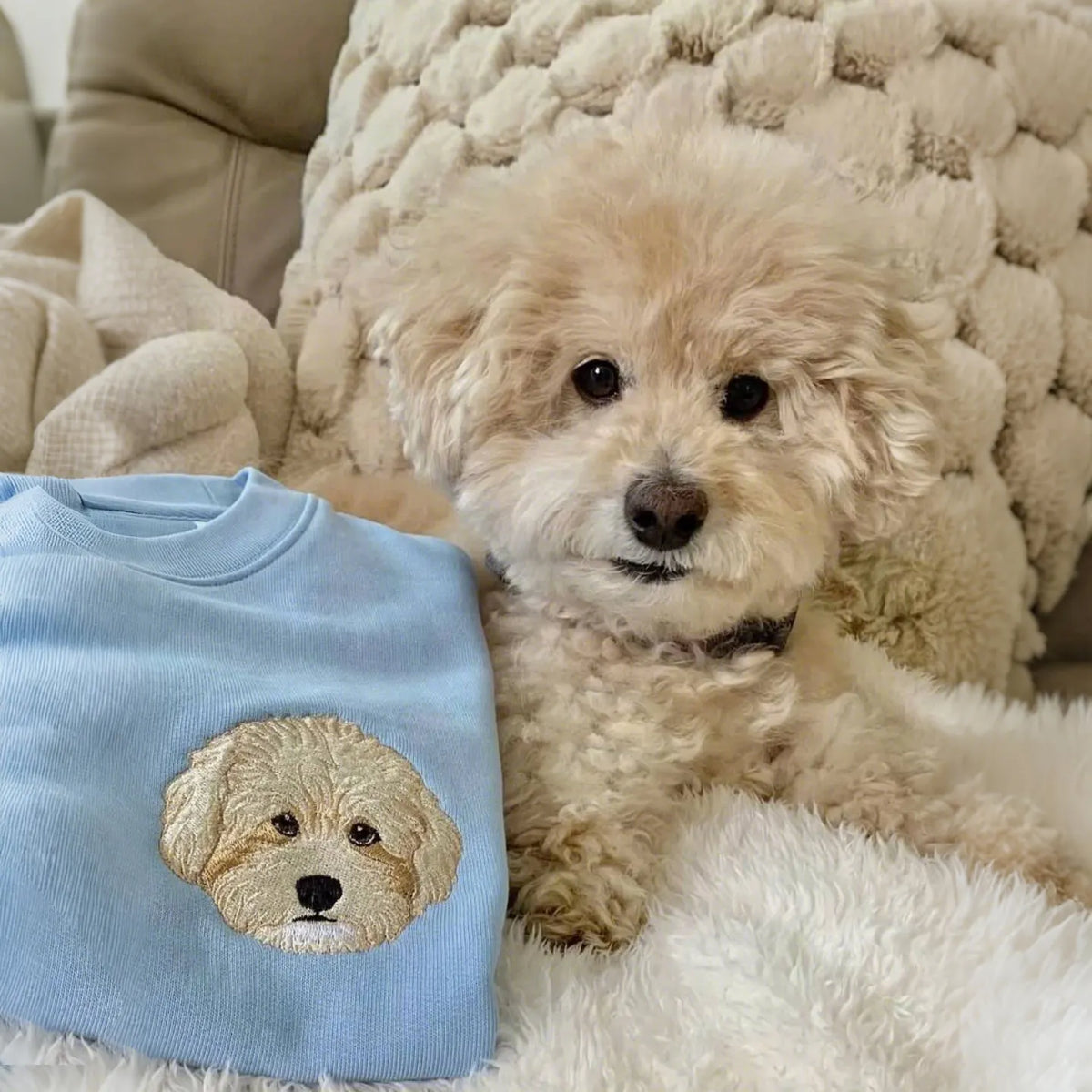 Fluffy cream puppy lying next to a light blue sweatshirt with its embroidered portrait