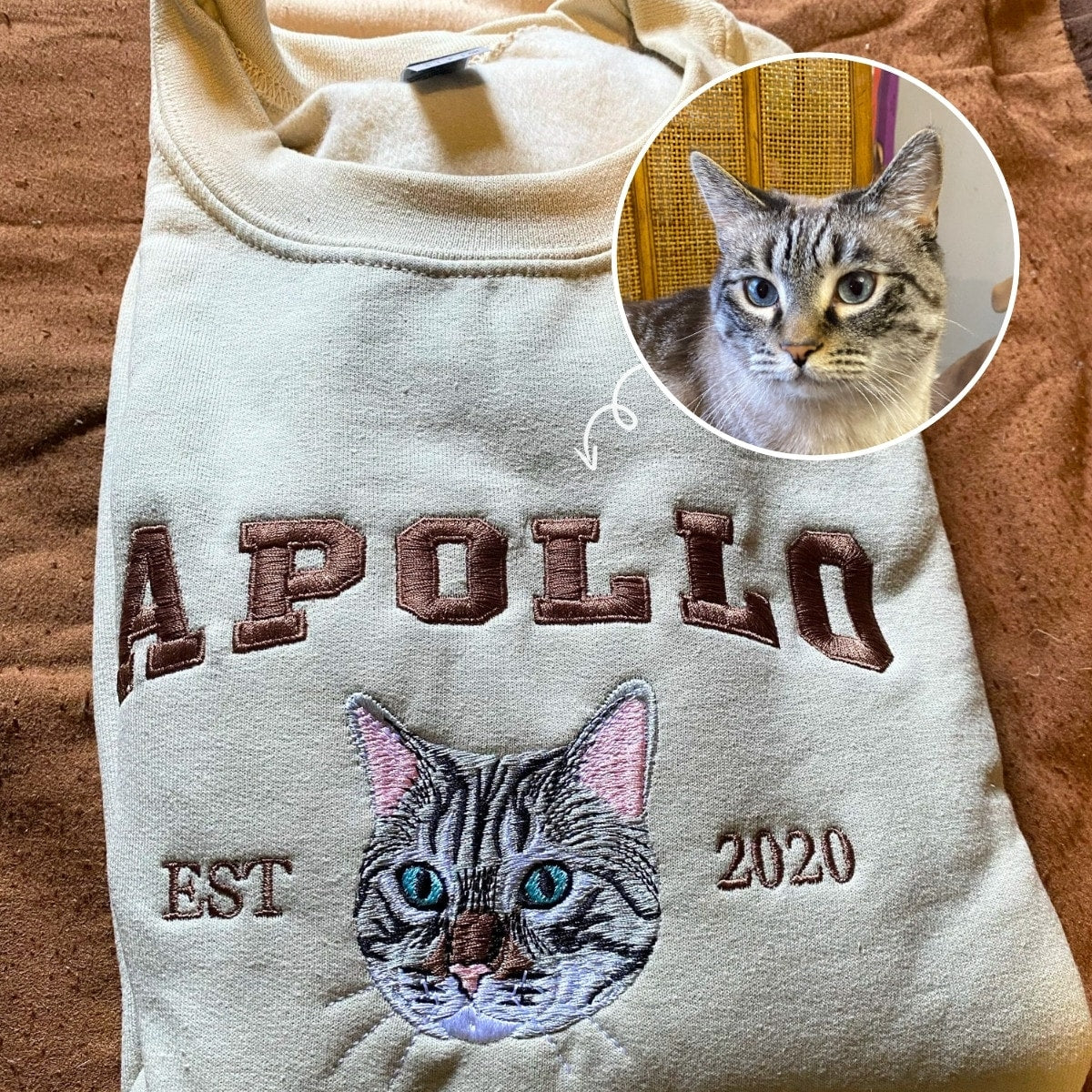 SZ002003_6