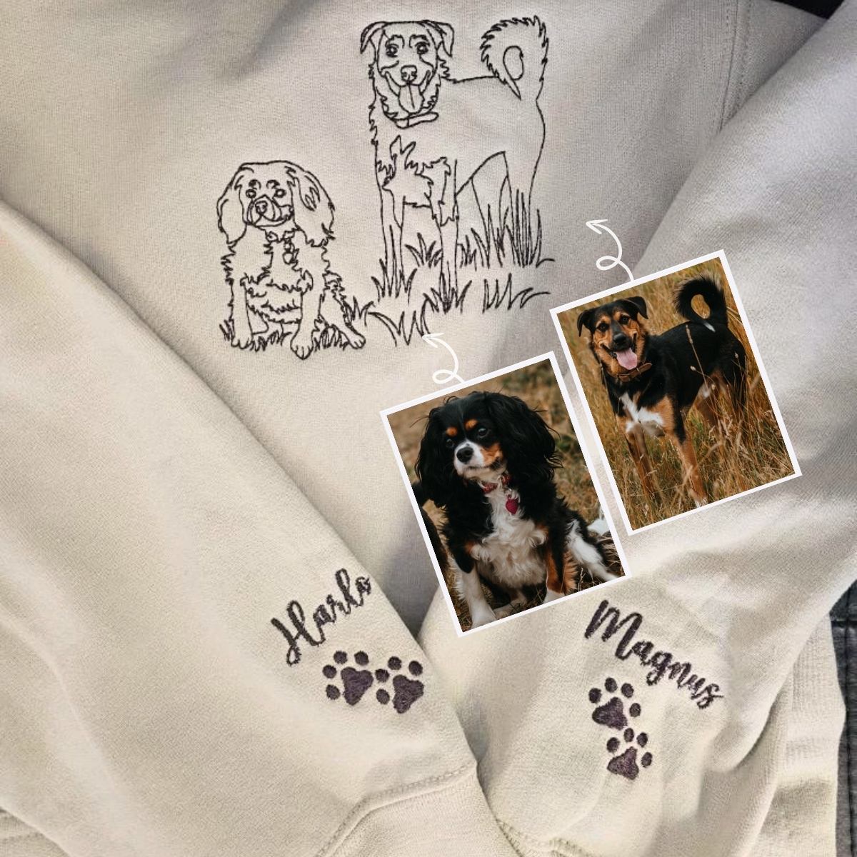 SZ001902_7