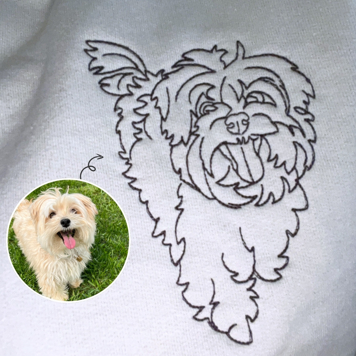 SZ002206_5